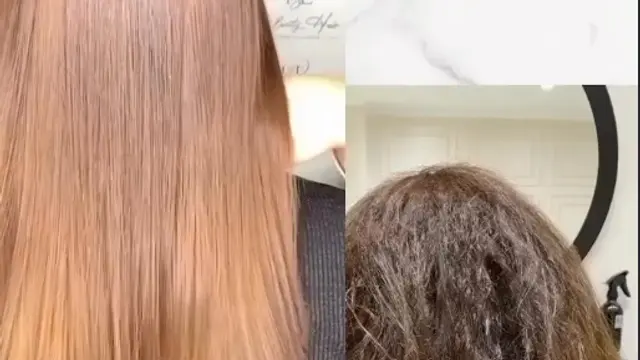 Planity hair 